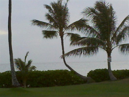 IMG 20120617 182515 (Medium)